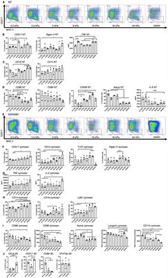 Stiffness regulates dendritic cell and macrophage subtype development and increased stiffness induces a tumor–associated macrophage phenotype in cancer co–cultures